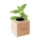 Branded Herb pot wood