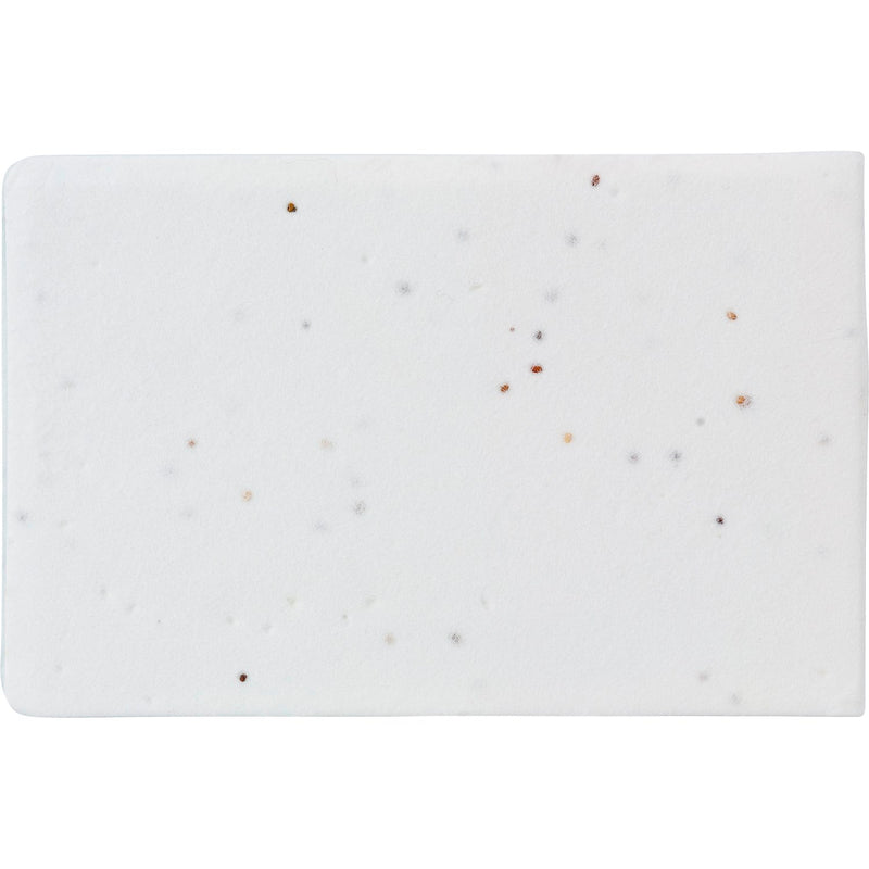 Dochcarty Seed paper sticky notes