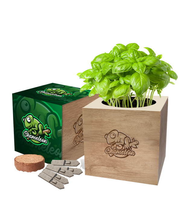 Desktop Cube Gardens