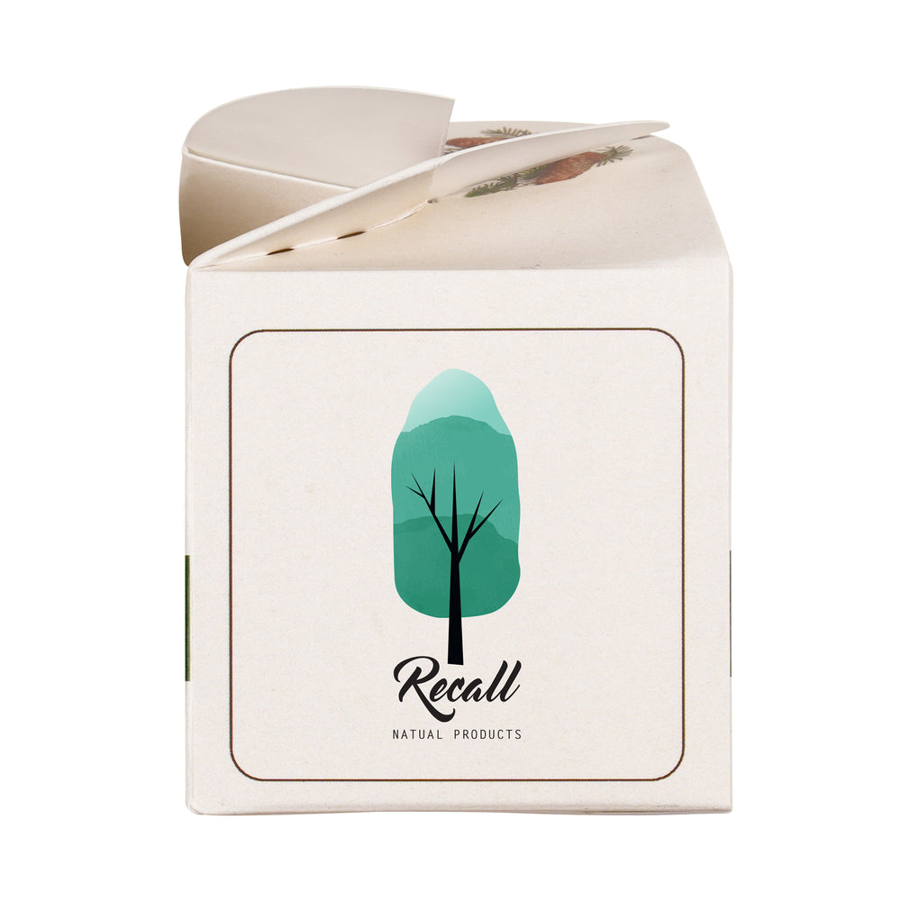 Mini Box Kit Norwegian Spruce