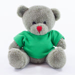 Coloured T-Shirt Bear II 15cm Red Nose Bear