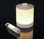 The Araminta - Multi-functional light