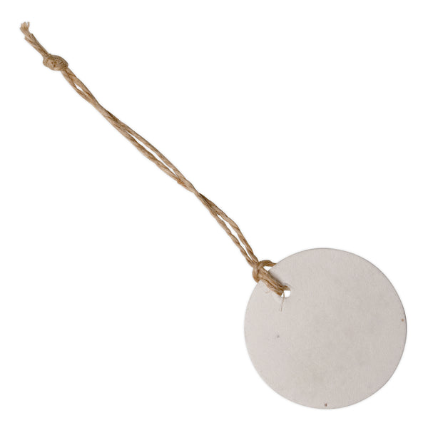 Seed Paper Swing Tag