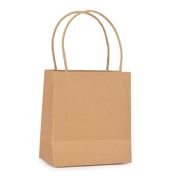 Branded Brunswick Small Brown Paper Bag with matching twisted paper handles