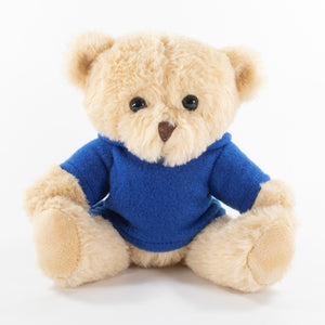 Coloured Hoodie Bear 25cm Alfie Bear