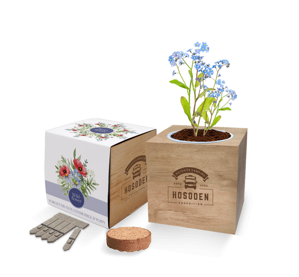 Essentials Desktop Cube Gardens