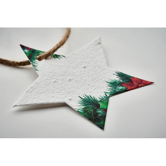 Seed paper Xmas ornament - Star