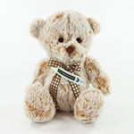 Sash Bear II 20cm Premier Bear, Fudge