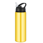 Tide Water Bottle - Flip Cap