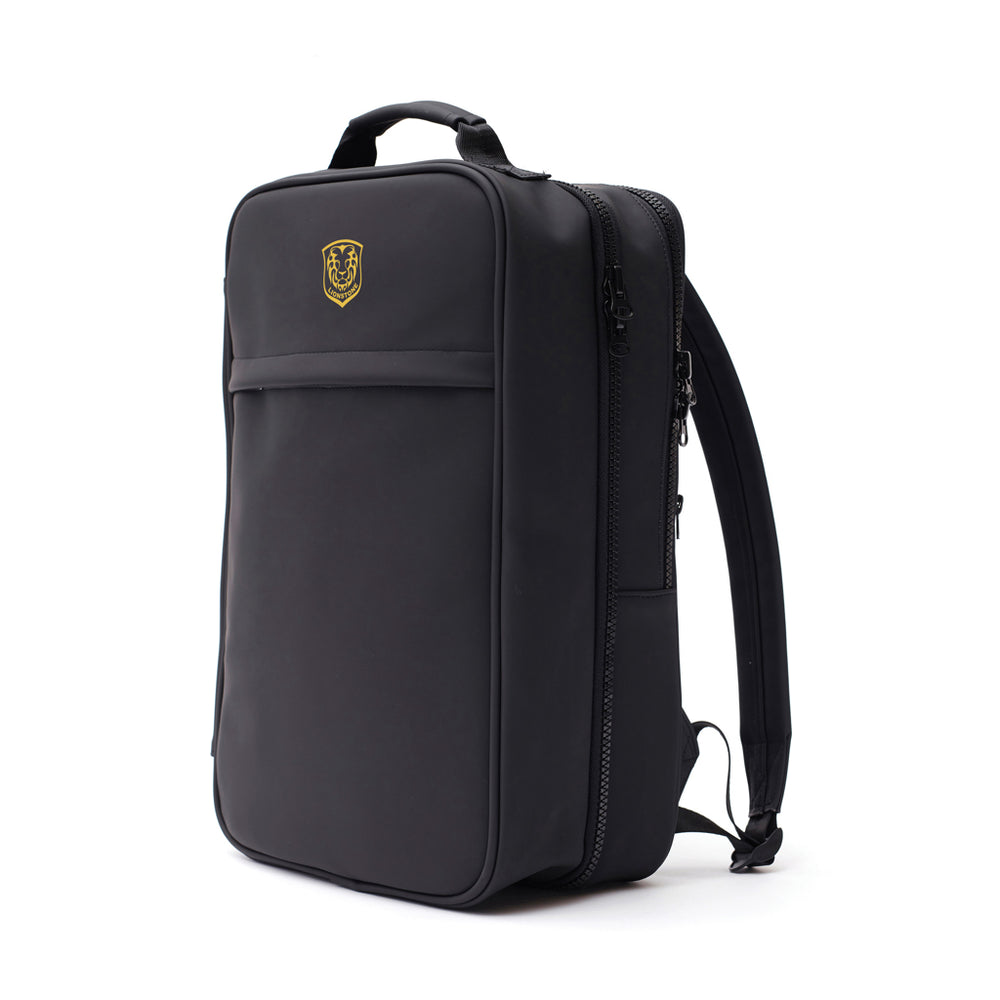 Branded VINGA Baltimore Travel Backpack