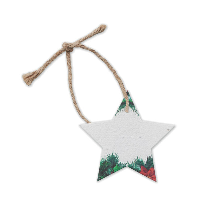 Seed paper Xmas ornament - Star