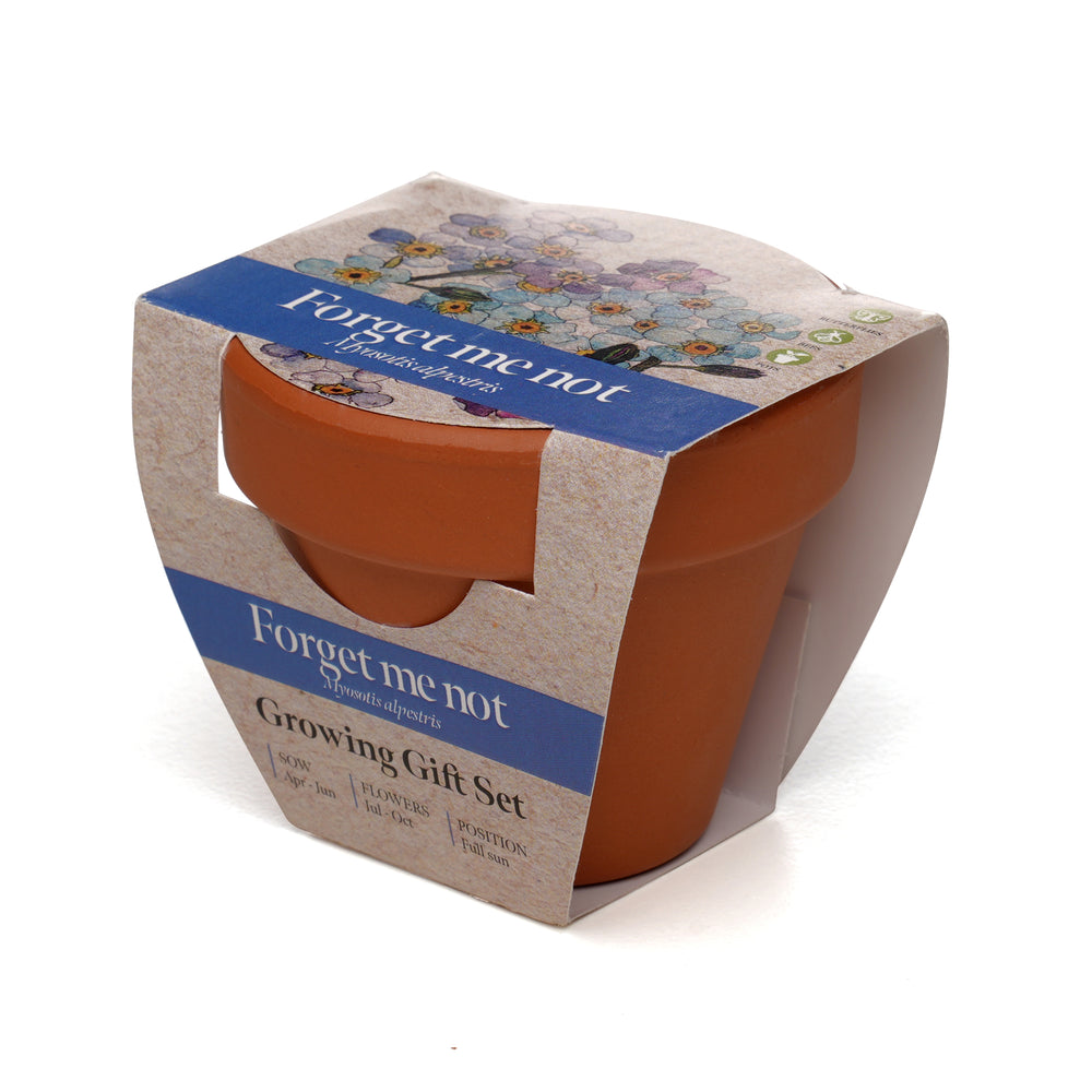 Growing Gift Forget-me-not