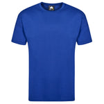 Orn Plover Premium T-Shirt KellyGreen
