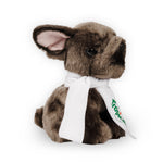 Ravensden French Bulldog with Scarf