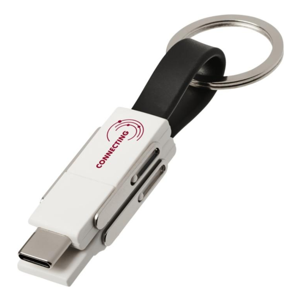 One 4-in-1 cable