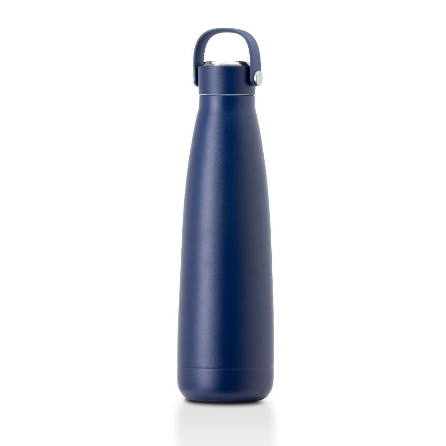 Cari 500ml insulated bottle
