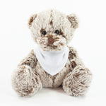 Bandanna Bear