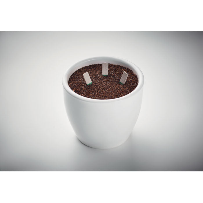 Branded Herb seeds sticks