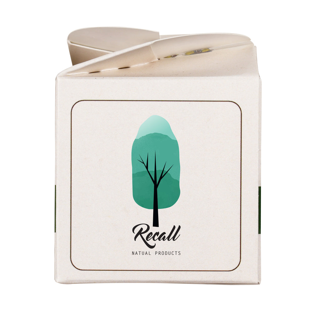 Mini Box Kit Wild Flowers Mix