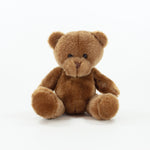 Branded Hi Vis Bear II