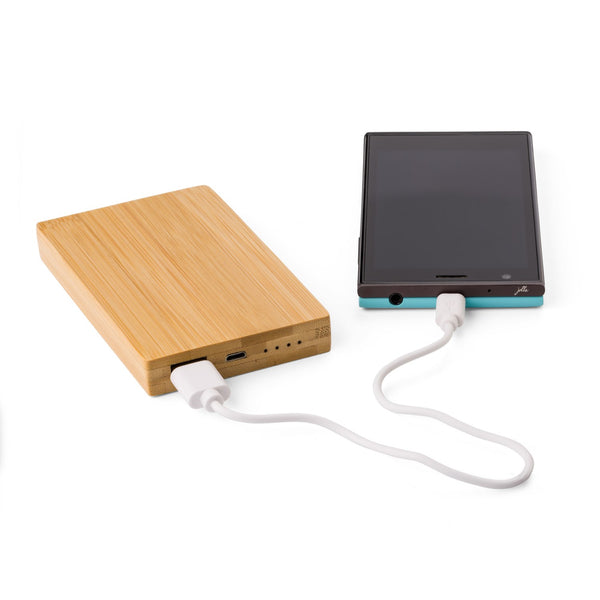 Hayboro Bamboo power bank