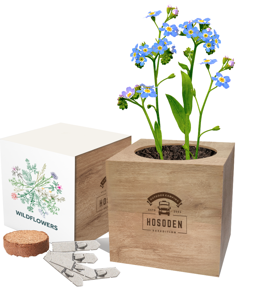 Essentials Desktop Cube Gardens