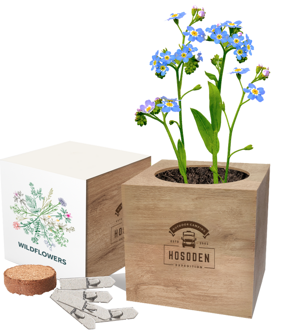 Essentials Desktop Cube Gardens