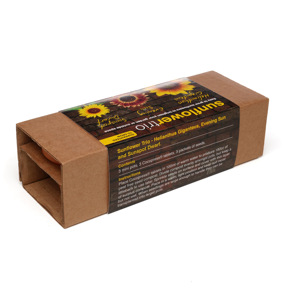 3-in-1 Garden Trio Sunflower