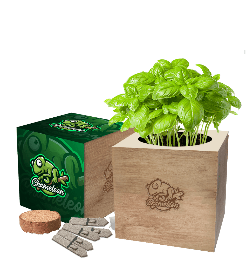 Desktop Cube Gardens