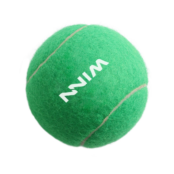 Pet Tennis Ball