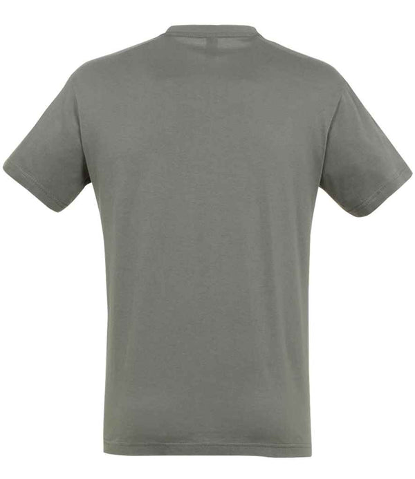 SOL'S Regent T-Shirt Zinc