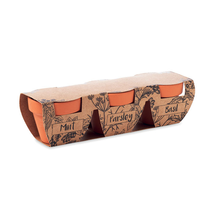 Branded Terracotta 3 herb pot set