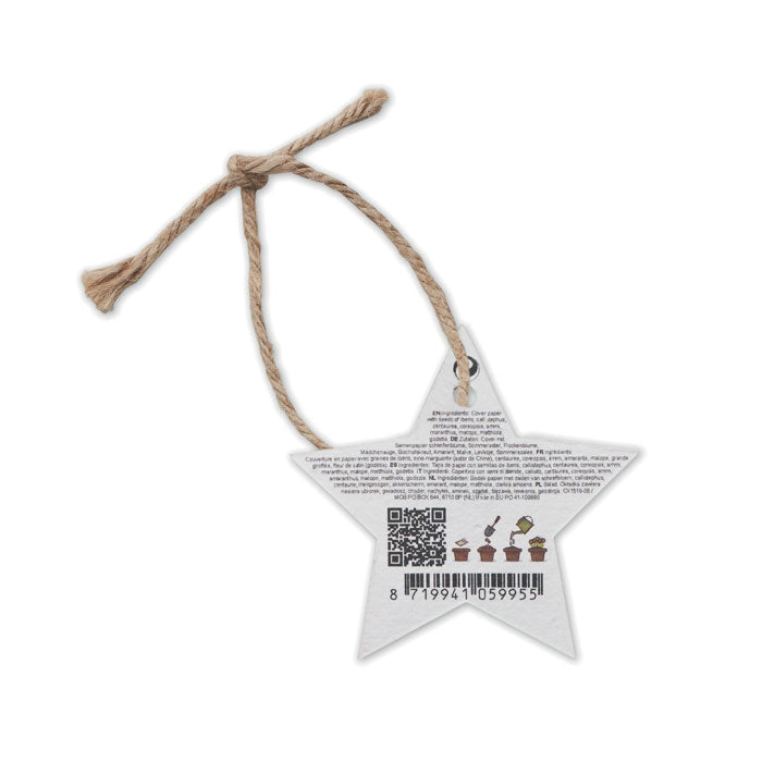 Seed paper Xmas ornament - Star