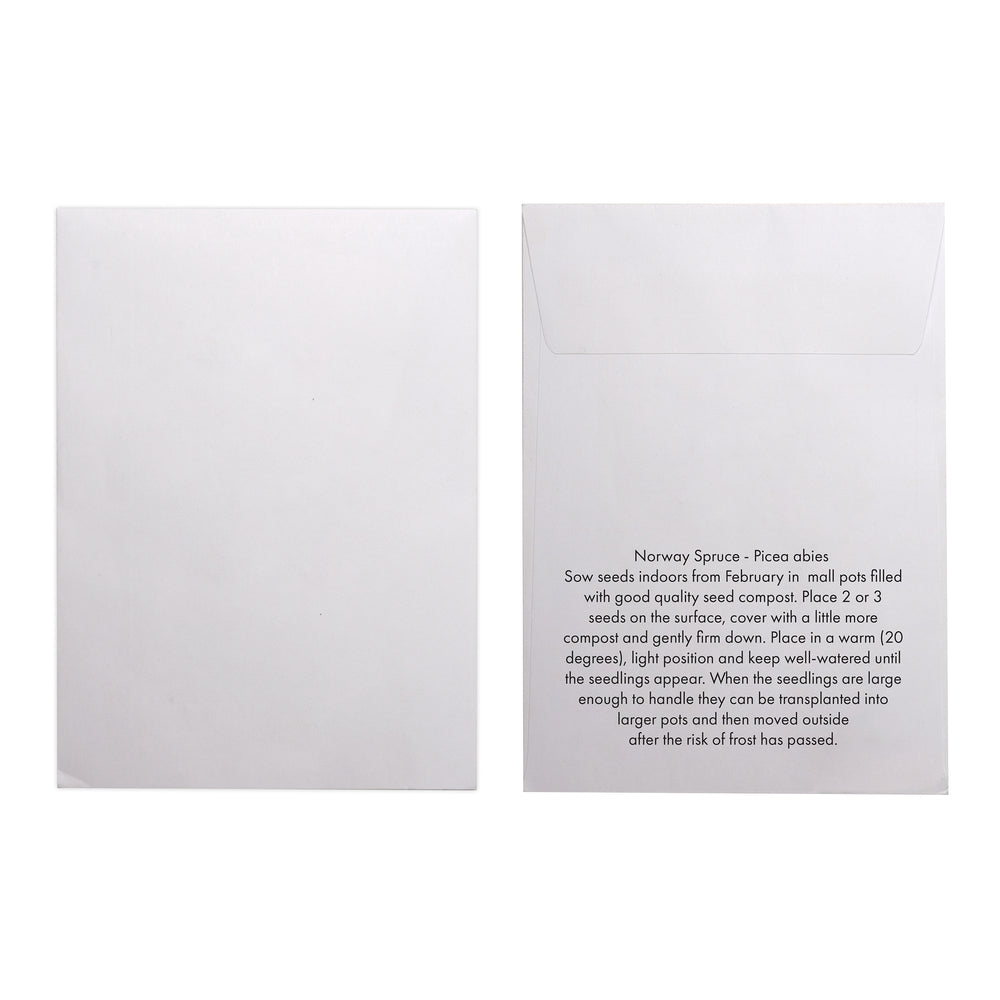 Seed Pack in White Paper Envelope Norwegian Spruce