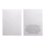 Seed Pack in White Paper Envelope Norwegian Spruce