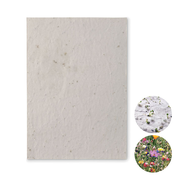 Branded A5 wildflower seed paper sheet