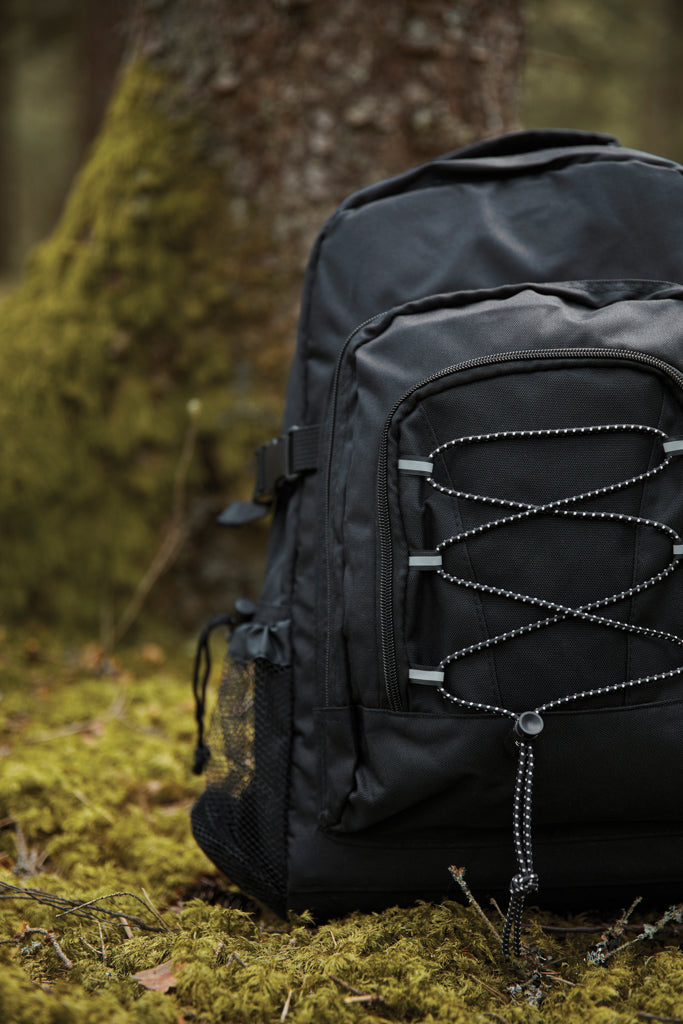 Branded VINGA Parks cooler backpack