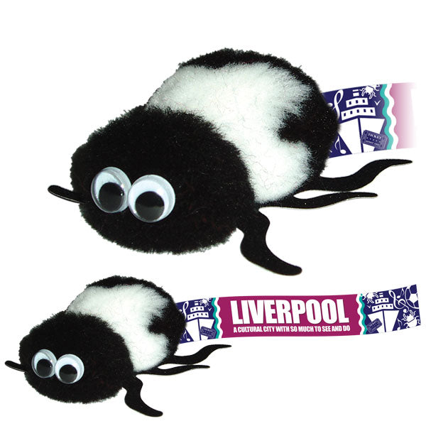 Insect Logobugs Beetle