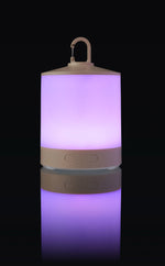 The Araminta - Multi-functional light