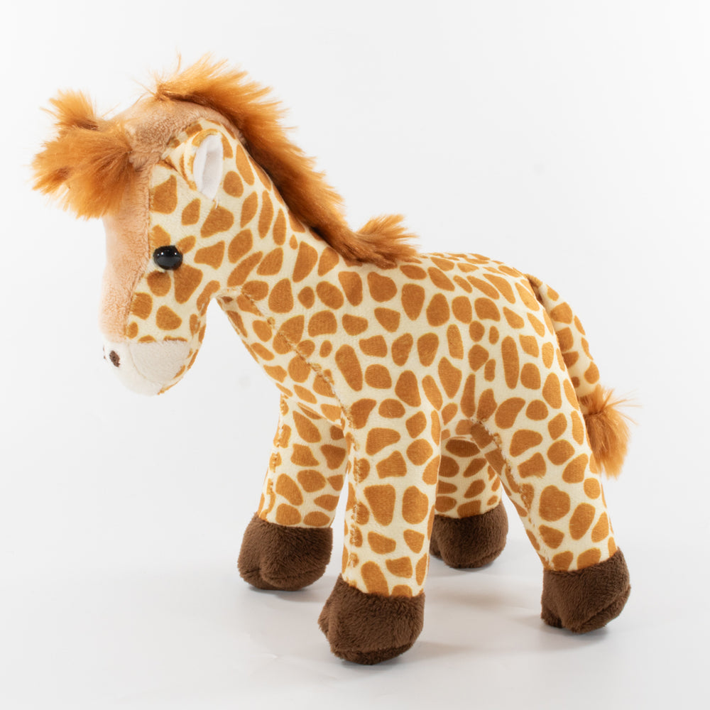 Coloured Hoodie Animal