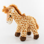 Coloured Hoodie Animal