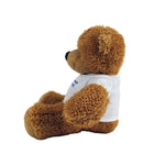 Anne Teddy Bear | Branded Logo Teddy Bear