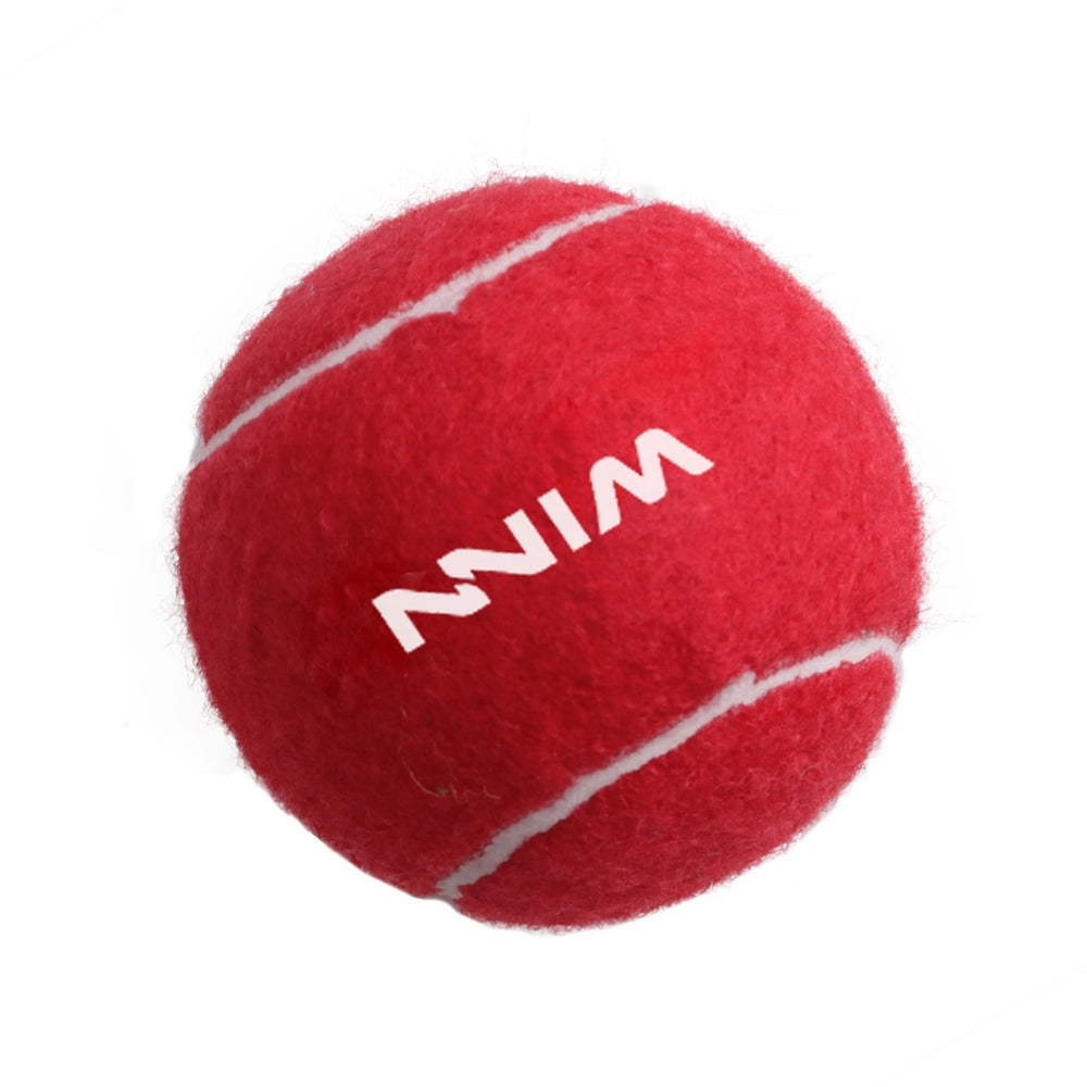 Pet Tennis Ball