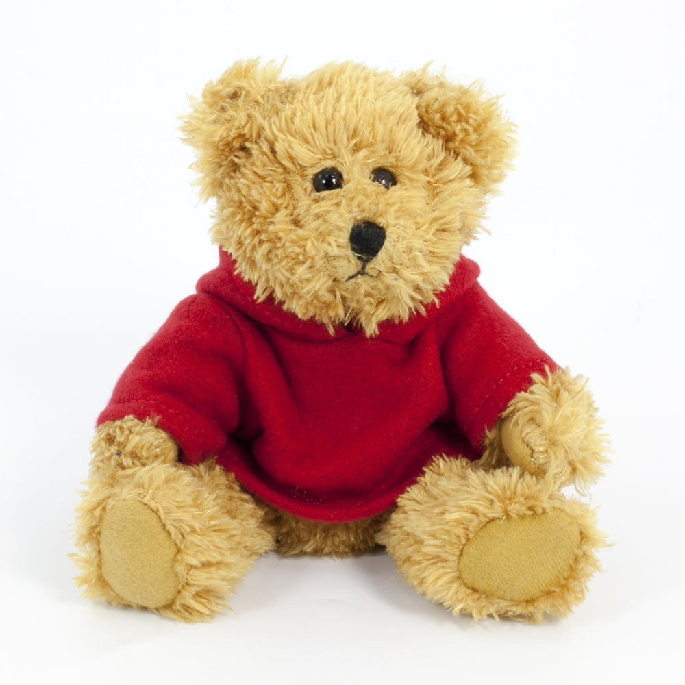 Coloured Hoodie Bear 20cm Sparkie Bear