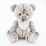 Bandanna Bear II