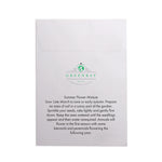 Seed Pack in White Paper Envelope Summer Flowers