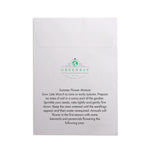 Seed Pack in White Paper Envelope