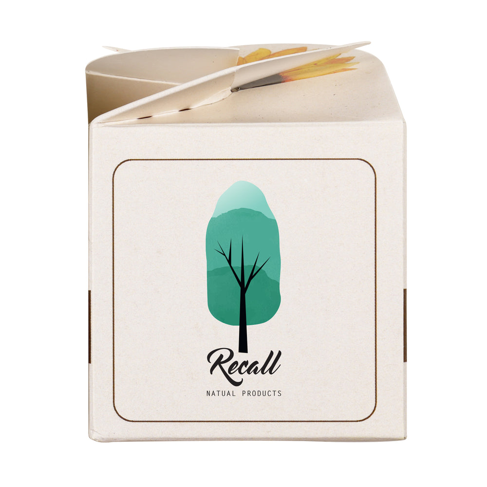 Mini Box Kit