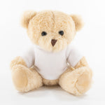 White Hoodie Bear II