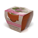 Growing Gift Strawberry